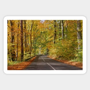 Autumn road Sticker